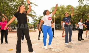 c2-4_focus_0_0_1125_667