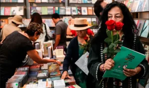 d2-2_focus_0_0_1125_667