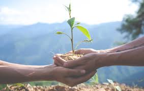 Gobierno del Estado inicia Educación Ecológica - El Sol del Soconusco