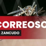 En México reducción de casos confirmados de Dengue. Tapachula con campo de investigación.