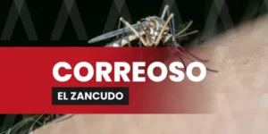 CORREOSO