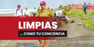 portada-web-limpias