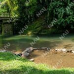 Tapachula. Bajo de un puente del rio “Nance” se encontró persona sin vida envuelta en lona amarilla.