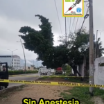 Adulto mayor pierde la vida tras ser arrollado en la carretera Chiapa de Corzo–Tuxtla Gutiérrez.