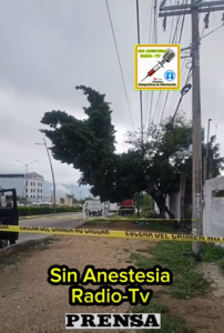 Captura de pantalla 2026-06-08 233526