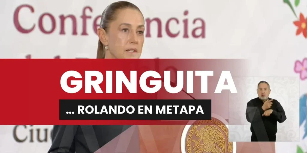 GRINGUITA