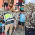 Tapachula. Se intoxican 12 personas en una vecindad por el malecón.