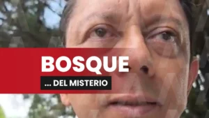 BOSQUE
