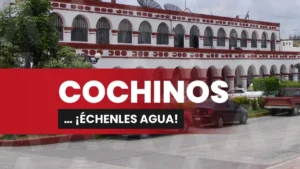 COCHINOS