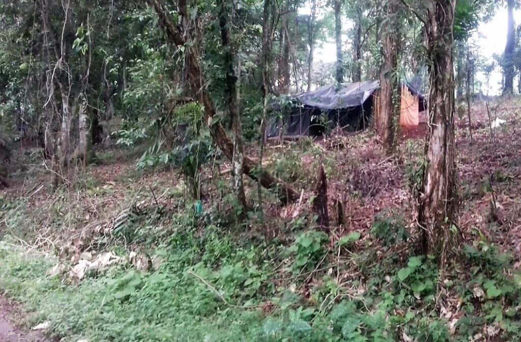 Invasores-de-terrenos-dedicados-al-cultivo-de-café-afectan-actividad-productiva-en-el-Soconusco