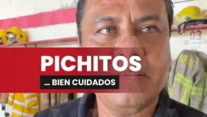 PICHITOS