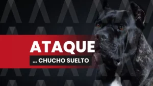 CHUCHO