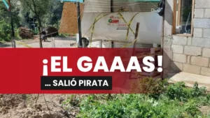 GAAAS