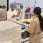 *Productores aseguran que la plaga del gusano barrenador continúa extendiéndose por la región