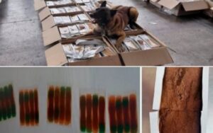 WhatsApp Image 2026-09-17 at 8.35.29 PM